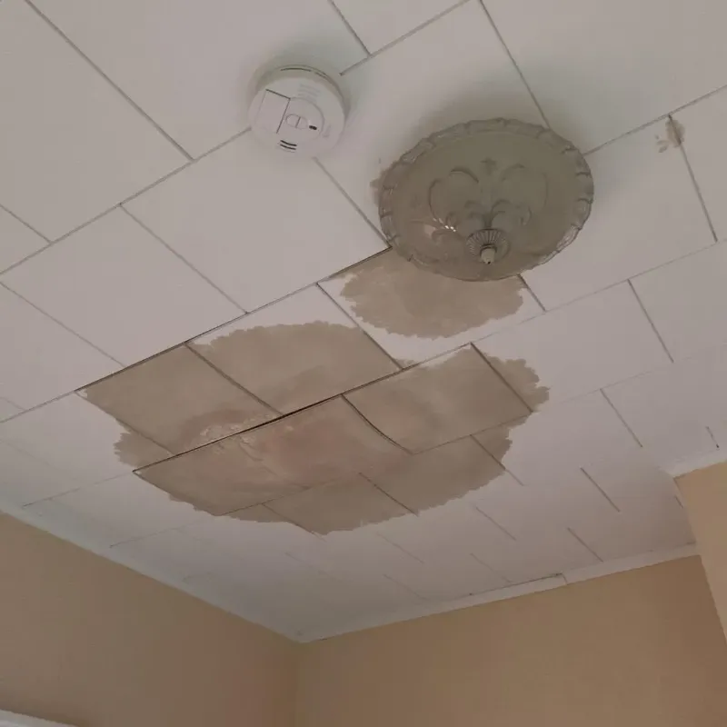 Ceiling Water Damage Repair in Kenmar, PA
