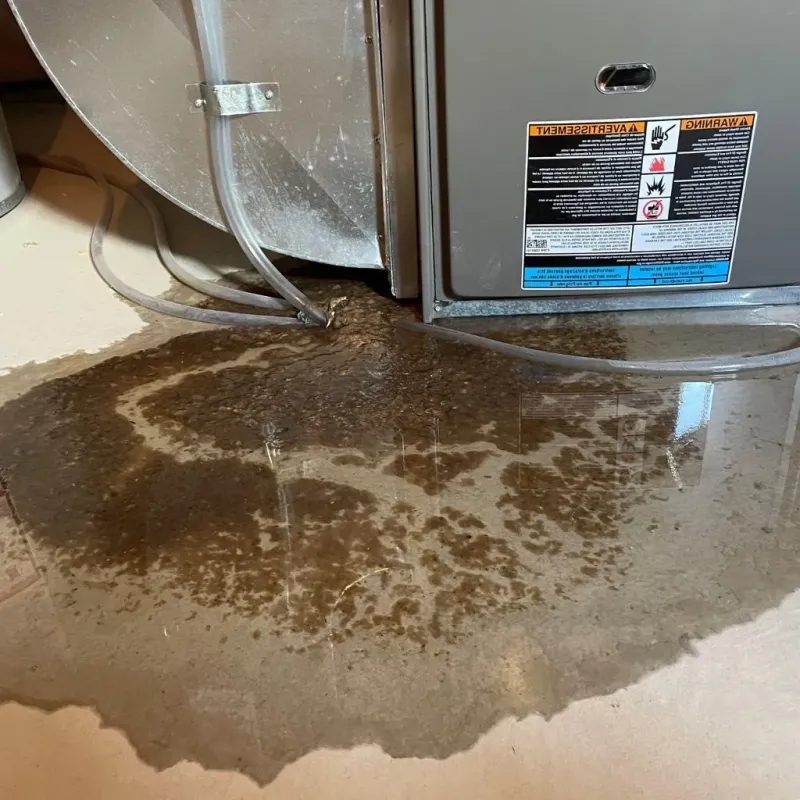 Pipe Burst and Leak Restoration in Kenmar, PA