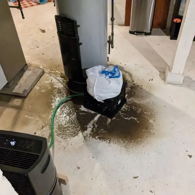 Sewage Backup Cleanup Service in Kenmar, PA